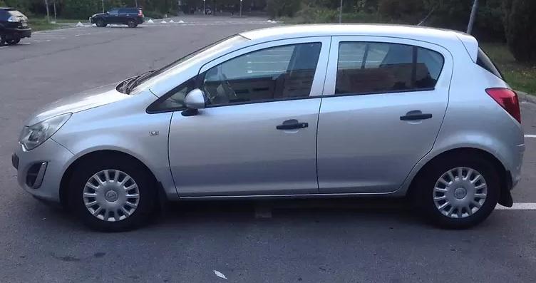 серая Корса сбоку