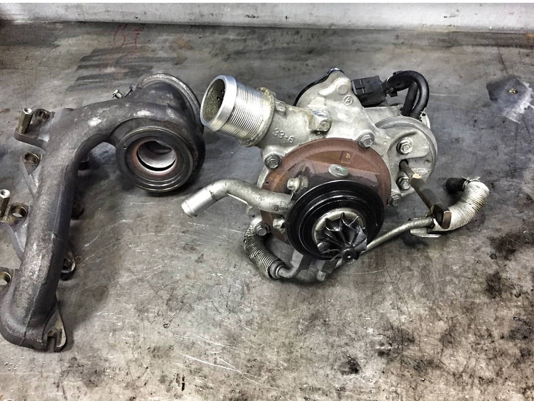 турбина инсигния