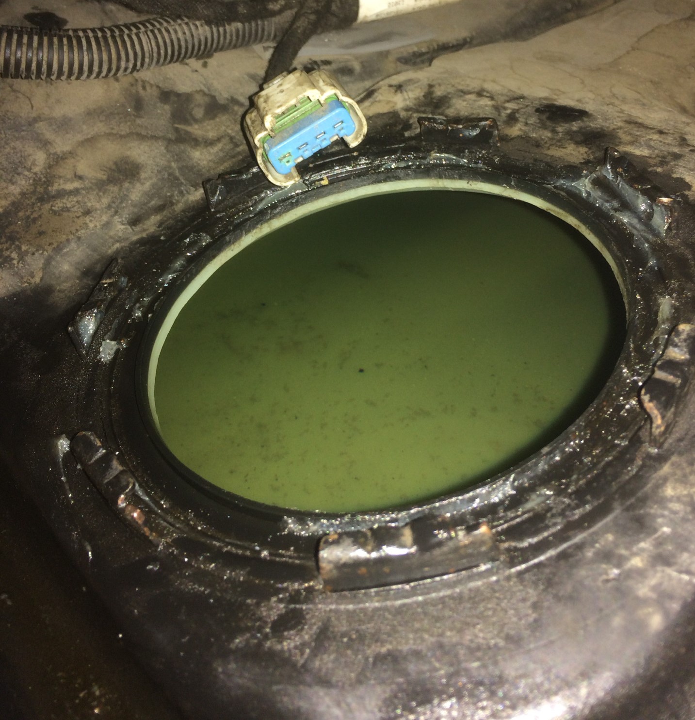 лючок в заднем сидении для замены топливного насоса