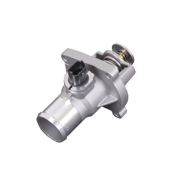 Новый термостат с корпусом