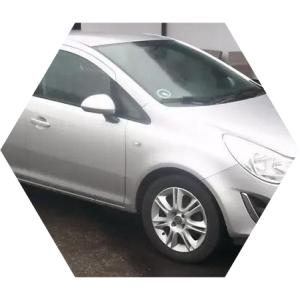 серая Корса