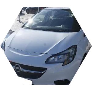 белая Корса