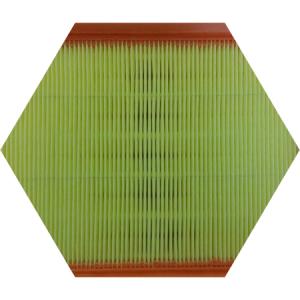 воздушный фильтр двигателя