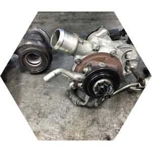 турбина инсигния