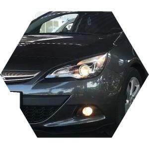 черная Астра